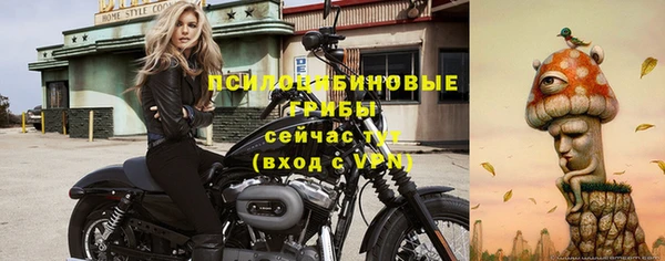 амф Беломорск
